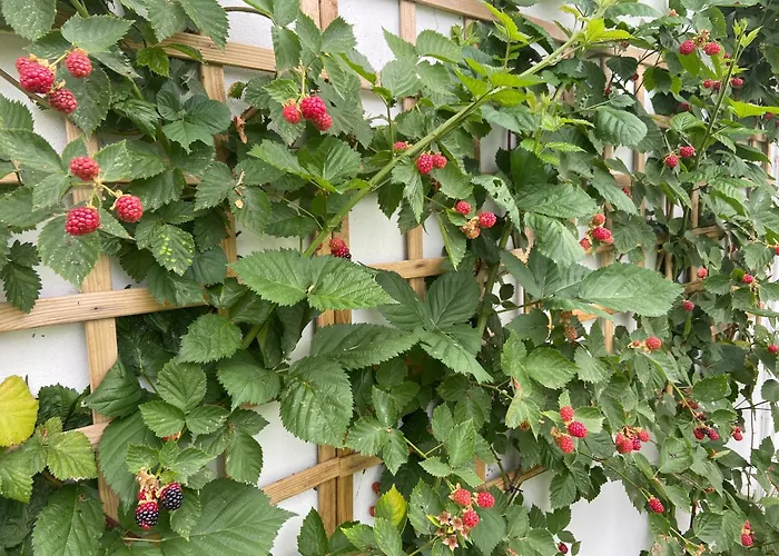 Villa Casa Da Gandara Ponte de Lima